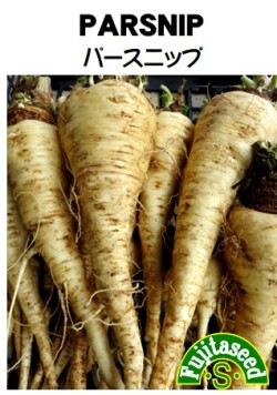 パースニップ