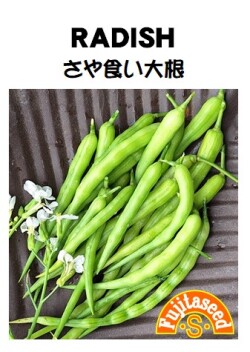 さや食い大根
