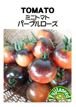 ミニトマト　パープルローズ
