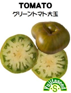 グリーントマト大玉