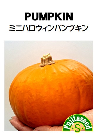 ミニハロウィンパンプキン
