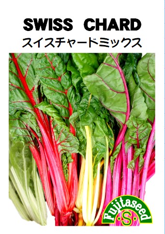 スイスチャード ミックス スイスチャード ミックス
