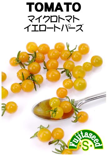 マイクロトマト イエロートパーズ