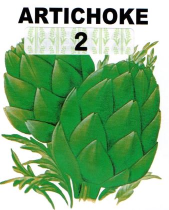 アーティチョーク2 アーティチョーク2