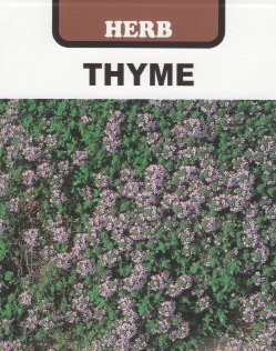 タイム クリーピングタイム