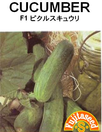 F1 ピクルス胡瓜