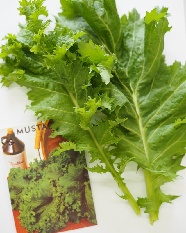 マスタード グリーン