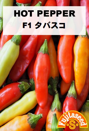 F1 タバスコ