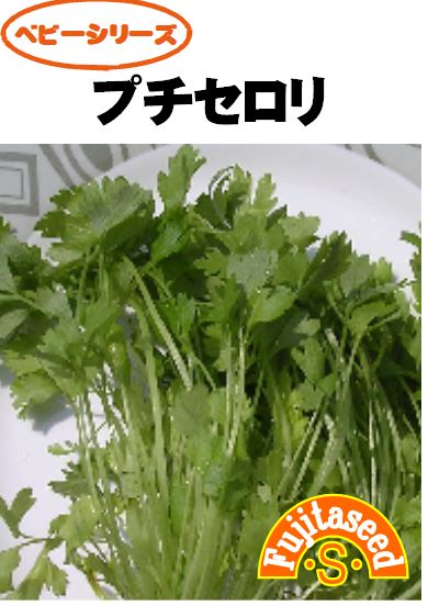 プチセロリ