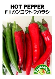 Ｆ１カンコクとうがらし