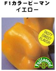 F1カラーピーマンイエロー
