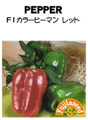 F1カラーピーマンレッド