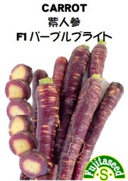 ○野菜種子