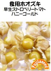 ハニーゴールド