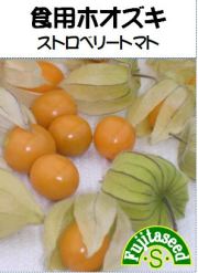 早生ストロベリートマト ハニーゴールド