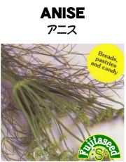 アニス