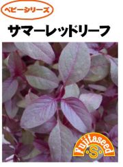 サマーレッドリーフ