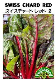 スイスチャード赤２