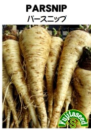 パースニップ