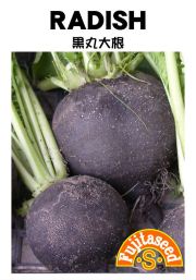 黒丸大根