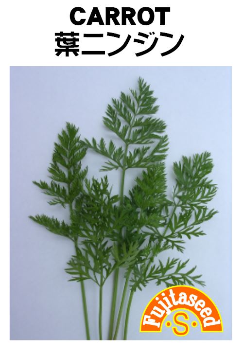 葉ニンジン