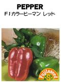 F1カラーピーマンレッド