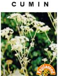 クミン