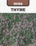 タイム　クリーピングタイム