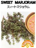 スィートマジョラム