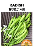 さや食い大根