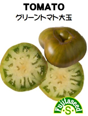 グリーントマト大玉
