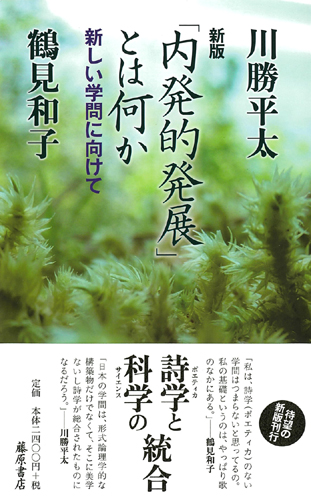 「内発的発展」とは何か〈新版〉――新しい学問に向けて