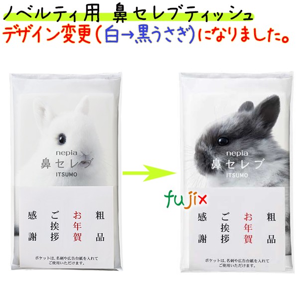 王子ネピア　ネピア鼻セレブティッシュ　ITSUMO PLUS 48組／個 1セット（100個：10個×10パック）/ケース