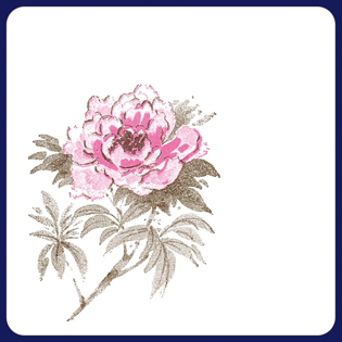 フジ紙コースター　牡丹　２色