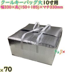 クールキーバッグ大 10寸用