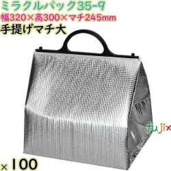 ミラクルパック35-9  手提げマチ大