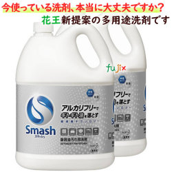 花王　スマッシュ　業務用　5L×2本／ケース　中性・除菌タイプ 厨房用・機器洗剤　詰め替え　】