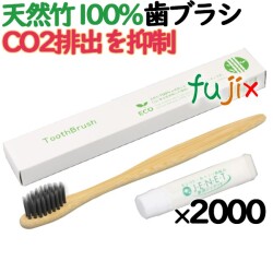 歯ブラシ ホテルアメニティ 竹製ハブラシ ソリッドB-100歯磨き粉付 PO箱 2000本（1000本（250本×4箱）