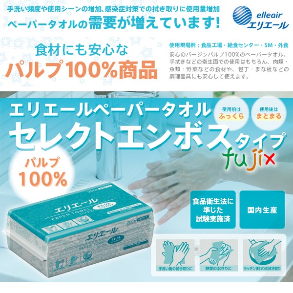 ベイルマークの大主 2枚セット 大王製紙 エリエール ペーパータオル セレクトエンボス シングル 中判