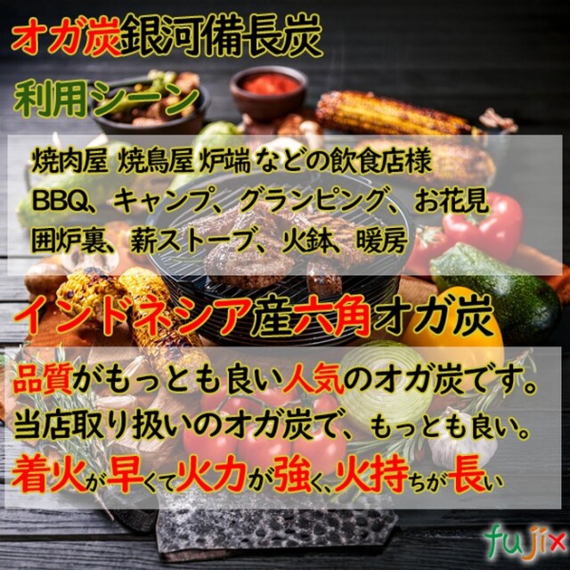 初回限定】銀河備長炭 オガ炭 20kg（10kg×2箱）六角 1級品