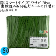PEWA-0410 スマートタイ ポリタイ ワサビ色 4mm×10 cm IGO アイジーオー