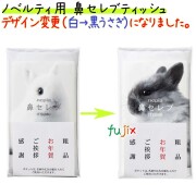 王子ネピア　ネピア鼻セレブティッシュ　ITSUMO PLUS 48組／個 1セット（100個：10個×10パック）/ケース