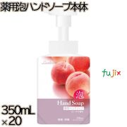 ラブライン 薬用泡ハンドソープ 本体 350mL×20本／ケース ミツエイ 泡ハンドソープ