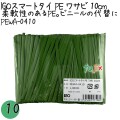 PEWA-0410 スマートタイ ポリタイ ワサビ色 4mm×10 cm IGO アイジーオー