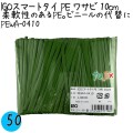 PEWA-0410 スマートタイ ポリタイ ワサビ色 4mm×10 cm IGO アイジーオー