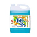 カネヨキッチンクリーナー 5L×2個入／ケース　業務用