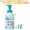 【手指消毒剤】ライオン　キレイキレイ薬用泡で出る消毒液（詰替用）　550mL×12本／ケース