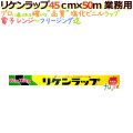 リケンラップ 45cm×50m 30本／ケース 業務用小巻ラップ 外刃