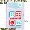 キッチンコーナー どっさりポリ袋 透明 Lサイズ LLDPE 厚み 0.02mm 2000枚（100枚×20）／ケース KC-62 日本技研工業
