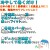 やわらか雪枕 おでこ用　72個／ケース　カバー付　熱中症対策　保冷剤　9653